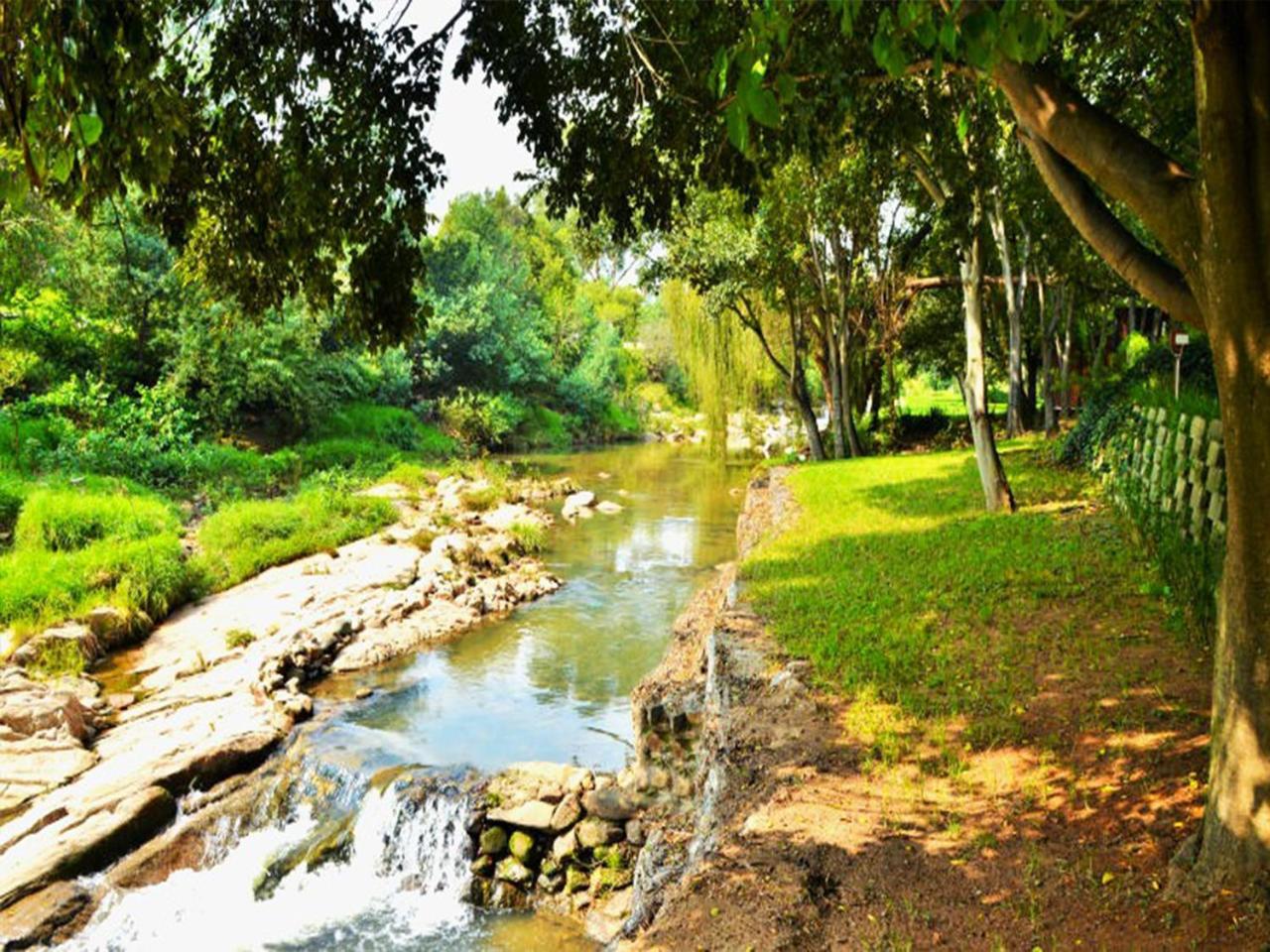 Sand River Guest House Johannesburg Ngoại thất bức ảnh